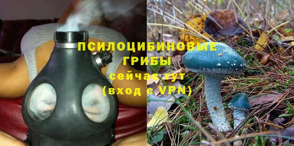 apvp Вяземский
