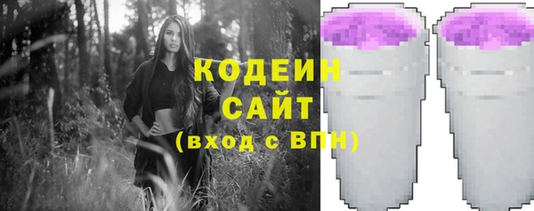 гидра Вязьма