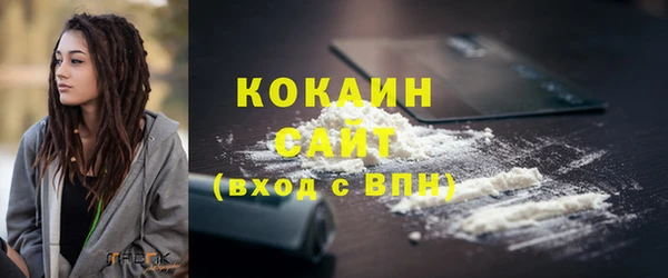 apvp Вяземский