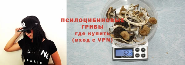 apvp Вяземский