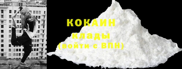 гидра Вязьма