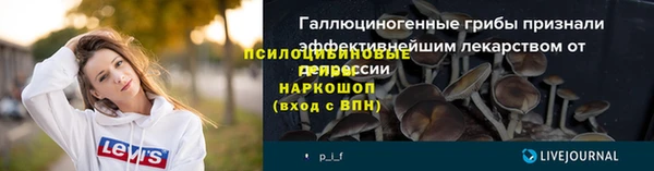 гидра Вязьма