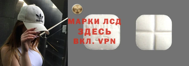 apvp Вязники