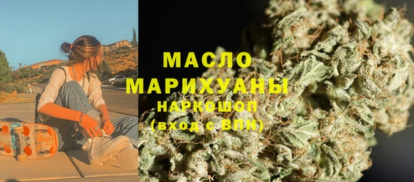 гидра Вязьма