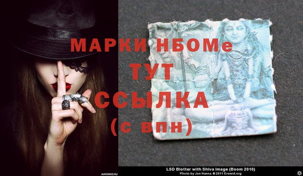 гидра Вязьма