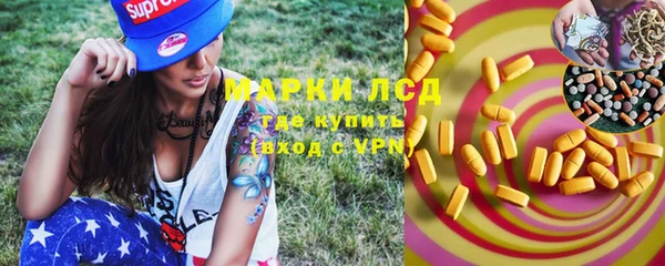 apvp Вяземский