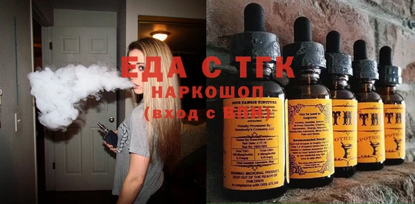 гидра Вязьма