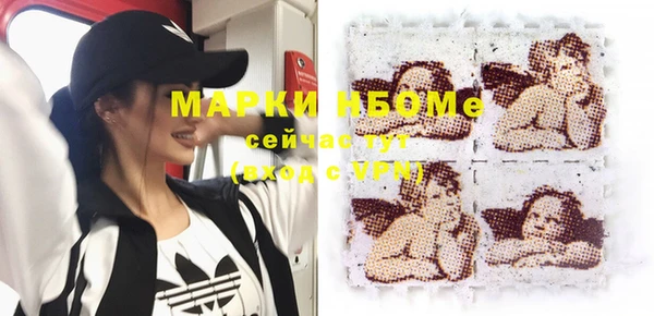 apvp Вяземский