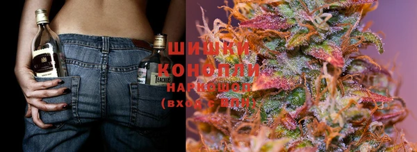 гидра Вязьма