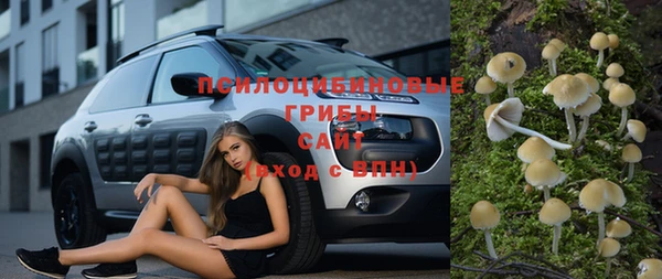 apvp Вяземский