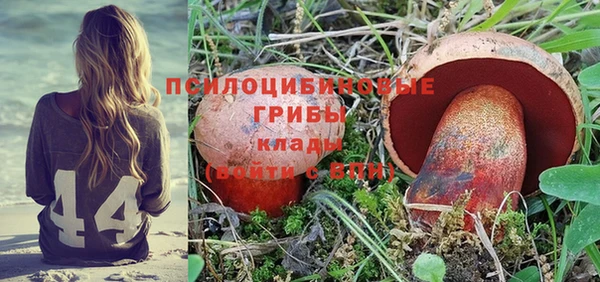 apvp Вязники