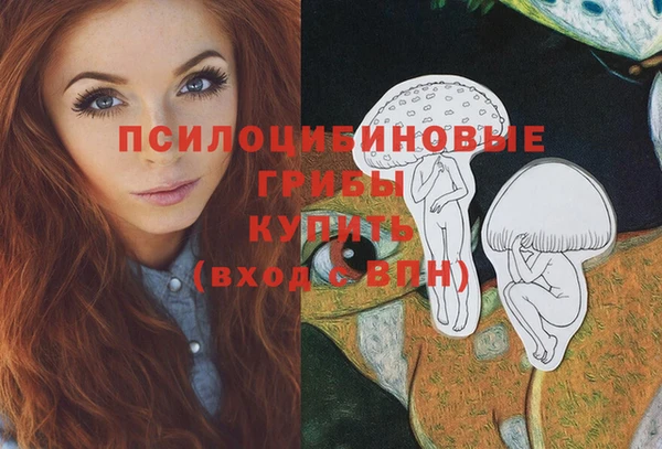 гидра Вязьма