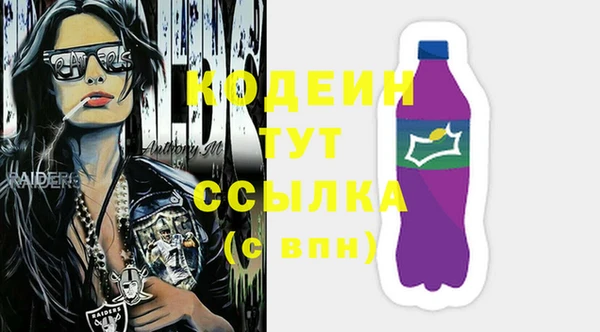 apvp Вяземский