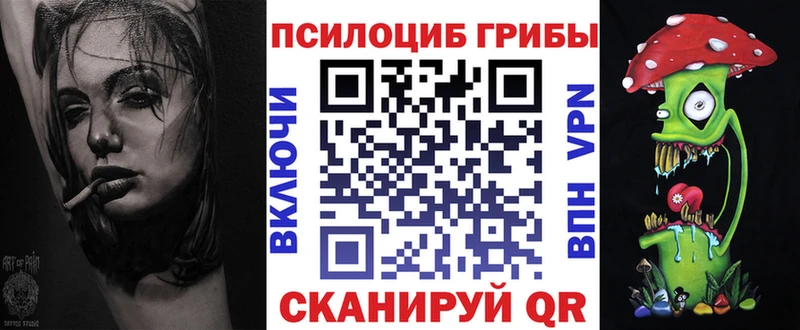Галлюциногенные грибы прущие грибы  Купить закладки  Ртищево 